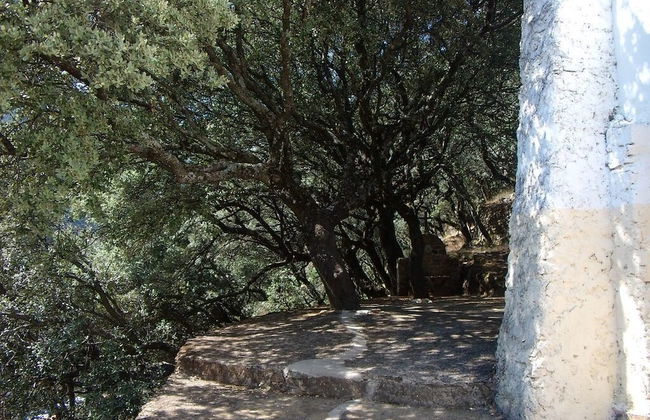 Las Casitas del Bodegon - Photo 30