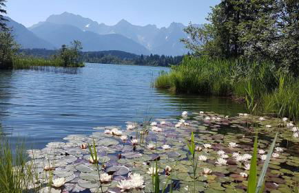 Ferienwohnung Soiernblick Krün Bärnbichl - Foto 8
