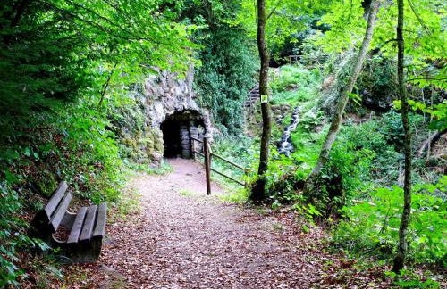 Ferienhaus Bad Bertrich - Photo 78