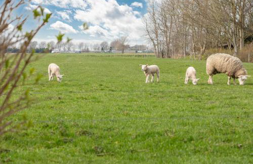 Ferienhaus Hyggehüs - Foto 12