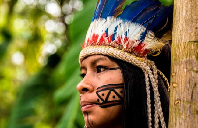 Excursão às comunidades indígenas da Amazônia - Foto 9