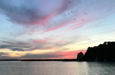 Marina Houses - Foto 22