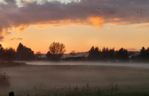 FeWo-Am-Wald - Foto 27