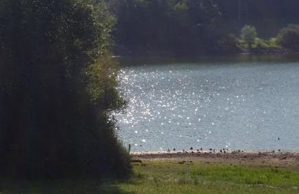 Lenzenhof anno 1720 I - Photo 17