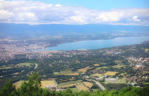 Escapade Confort au Cœur de la Ville Cosy&Moderne - Photo 4