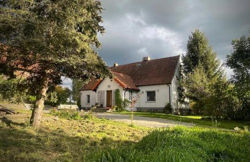 Żurawi klangor - dom z sauną i jacuzzi - Foto 45