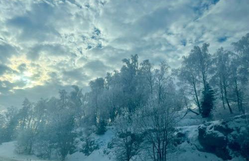 Green House kuća s 4 spavaće sobe - Foto 28