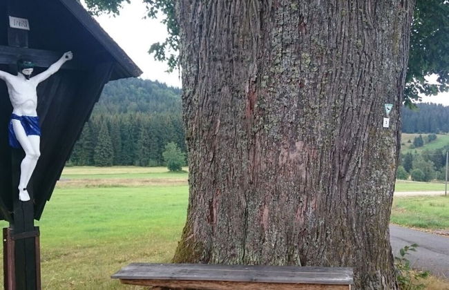 Mitterdorf Modern Retreat - Foto 21