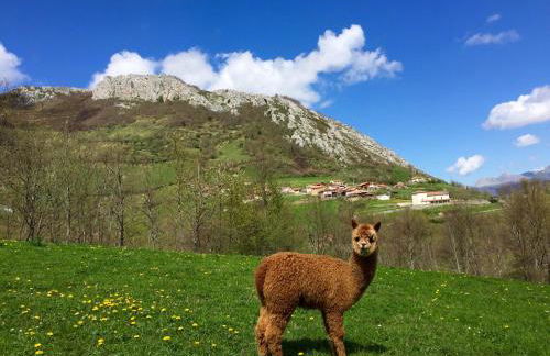 Casas Rurales Prieto - Foto 38