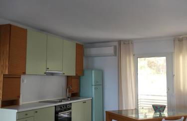 Aristotelia Gi - Panorama - Photo 12