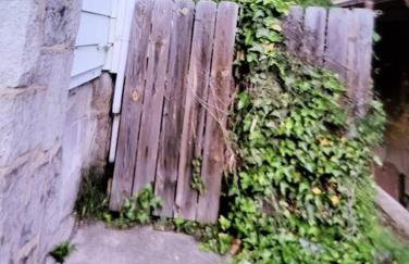 D.C.'s Brookland house Pets are Welcome! - Photo 9