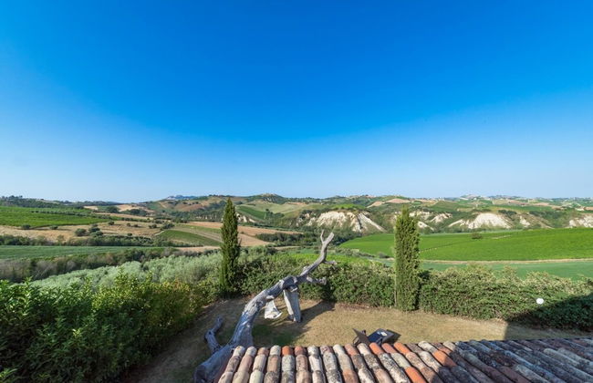 Casale Rosy 6 2 in Offida - Foto 29