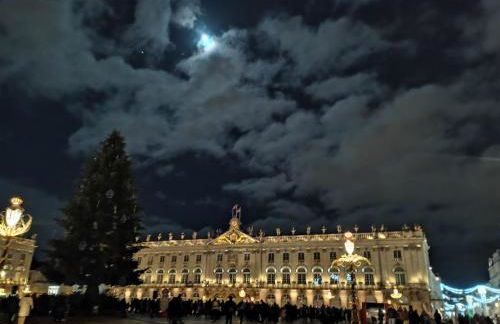 Proche de Nancy centre, appart cinéma rénové avec parking gratuit - Foto 19