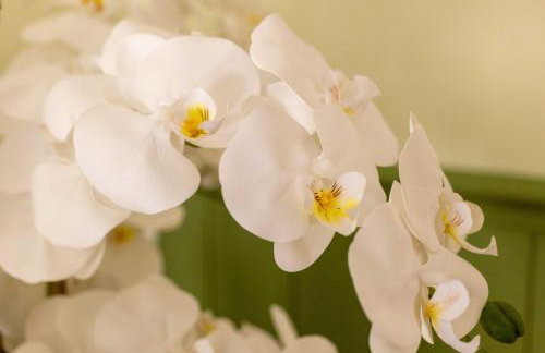 Villa Arkadia - Foto 16