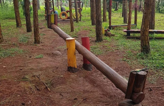 Nyungu Yamawe Forest Park - Foto 21