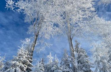 Apartamenty Lunita Blue BB - Foto 18