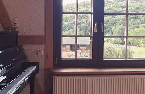 Oma Lina Haus - 4 SZ 2 Bäder großer Garten und Infrarot-Sauna - Photo 46