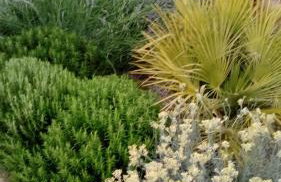 Apartment Nena - Foto 23