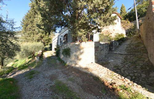 La Cipressa - Foto 7