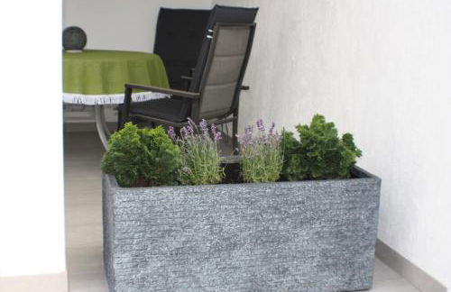 Apartment 60 m² in Elsdorf-Heppendorf - Foto 24