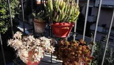 Appartamento Gemma - Foto 5