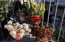 Appartamento Gemma - Foto 5