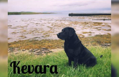 Kevara Self-Catering - Photo 14