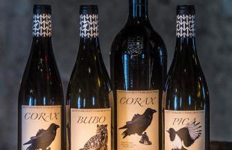 Grottnerhof - Foto 5