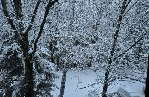 Vermont Getaway! Newly renovated! - Foto 17