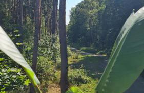 Czarna Perła - Foto 35