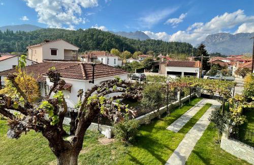 Casa Delicosta- 2 Flat Country house with garden, 15 min from Trikala - Foto 34
