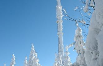 Ferienwohnung Pedall - Foto 9