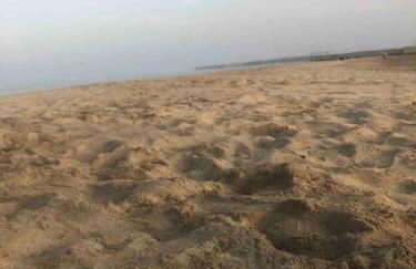 Le colibri - Foto 10