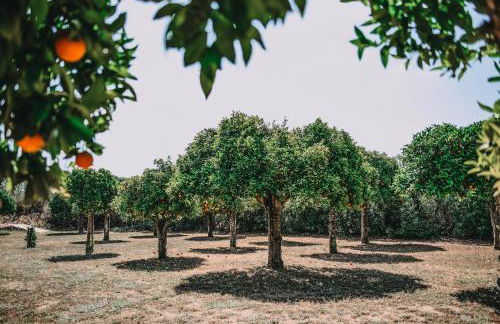 Hotel Can Sastre - Foto 27