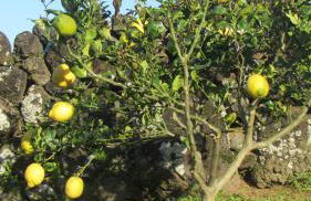 Casa da Arquinha - Photo 51