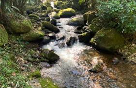 Chalé Aconchegante, Paz e Natureza - Foto 24