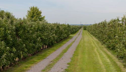 FEWO Maisonettenwohnung - Photo 2