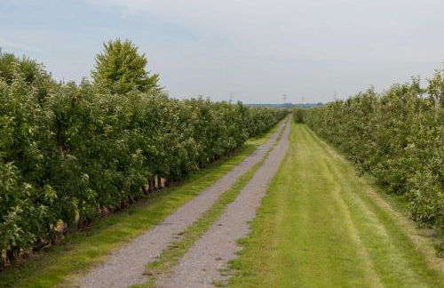 FEWO Maisonettenwohnung - Photo 2