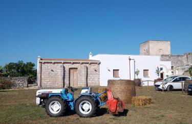 Masseria Petrore Grande di Polimeno Alessandra - Foto 12