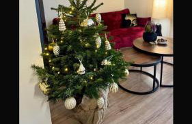 Spokojny Zakątek Rogówko - Foto 13