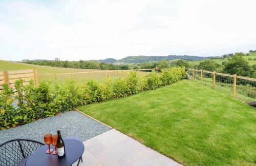 Charollais - Foto 14