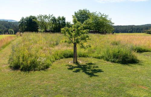 Moderne, gemütliche DG-Wohnung in ruhiger Lage - Foto 38