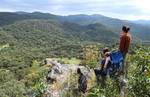 Finca Bravo - Foto 43