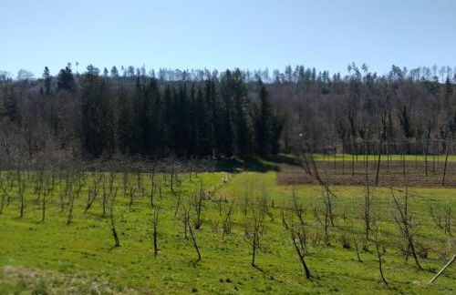 Ferienhaus nähe Bodensee - Foto 11
