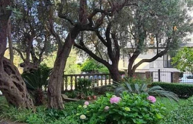 Olive Garden Apartments Petrovic - Foto 28