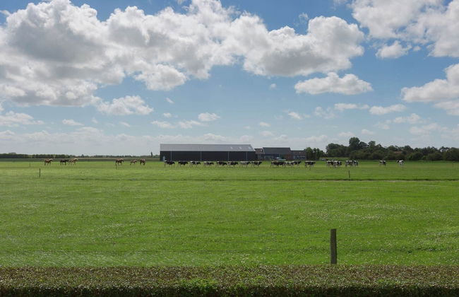 Scenic Holiday Home in Oostkapelle near Beach - Photo 12