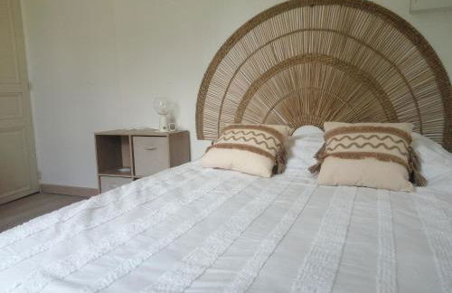 Maison " Bouton d'or" au bord de l'eau, à 10 mn de Tours , meublé classé une étoile - Foto 10