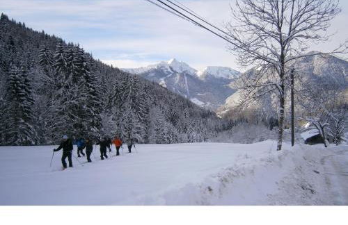 Chalet Fleur des Neiges - Foto 20