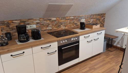 Ferienwohnung im Erzgebirge - Seiffen - Foto 3