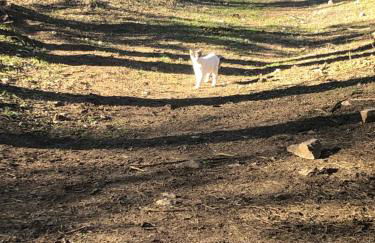 Perfect Country-Side Get-Away - Photo 21